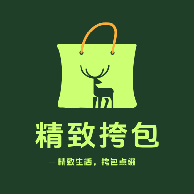 精致挎包LOGO模板
