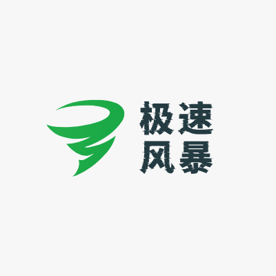 极速
风暴LOGO模板