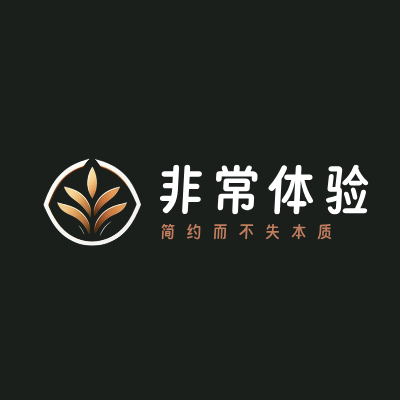 非常体验LOGO模板