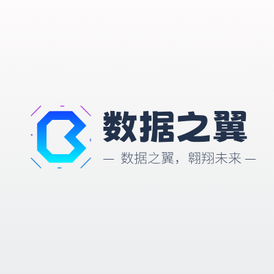 数据之翼LOGO模板