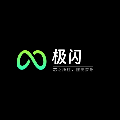 极闪LOGO模板
