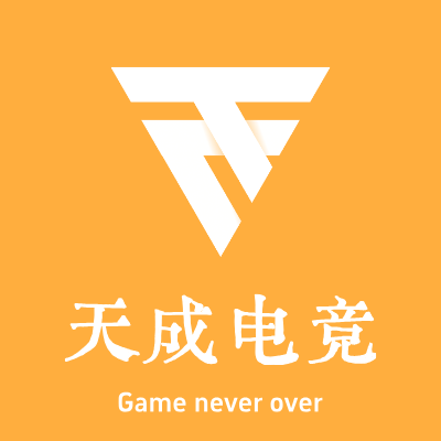 天成电竞LOGO模板
