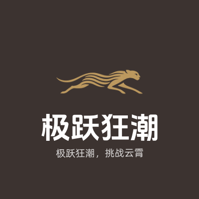 极跃狂潮LOGO模板
