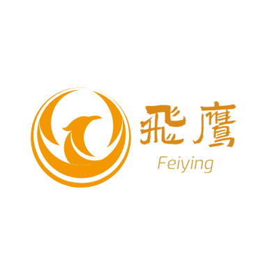 飞鹰LOGO模板
