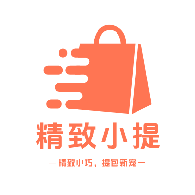 精致小提LOGO模板