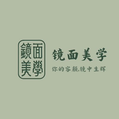 镜面美学LOGO模板