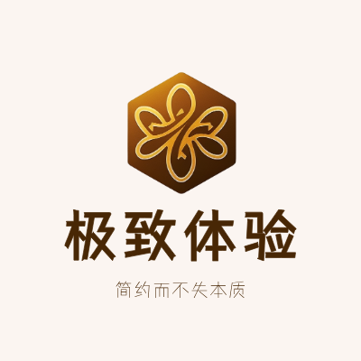 极致体验LOGO模板