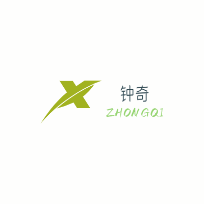 钟奇LOGO模板