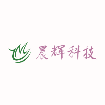 晨辉科技LOGO模板