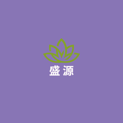 盛 源LOGO模板