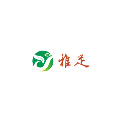 雅足LOGO模板