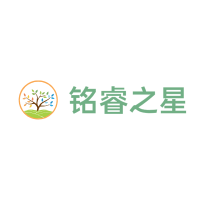 铭睿之星LOGO模板